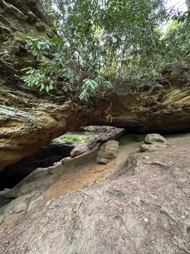 Sandstone and rhododendron. The other compass.